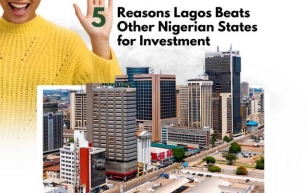 5 Reasons Why Lagos Differs From Other states for Investment