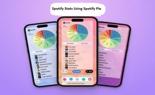 How To Discover Your Spotify Stats Using Spotify Pie?