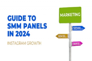 Instagram Growth Guide To SMM Panels In 2024