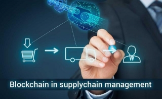 Transforming Sustainability: Blockchain's Impact On Supply Chain Management
