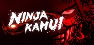 Ninja Kamui: Adult Swim's Breakout Anime Success