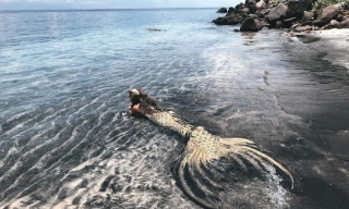 The Wonderful World Of Mermaids -Fact Or Fiction?
