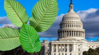 What Is The Consumer Protection Act For Kratom?