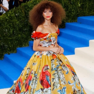 The 2024 Met Gala Garden Of Time Theme And Dress Code, Explained  E! NEWS