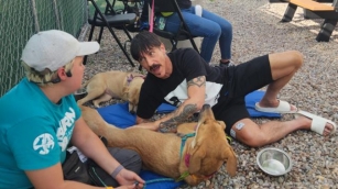 Red Hot Chili Peppers Invite Bernalillo County Animal Care Services Backstage For Albuquerque Concert  KOAT New Mexico