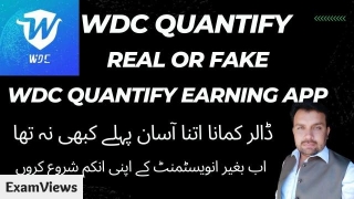 WDC Quantify Real Or Fake