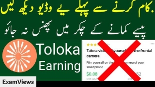 Toloka App Is Real Or Fake