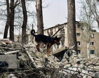 War In Ukraine Today: Latest News, 13 April, 2024 (photo)
