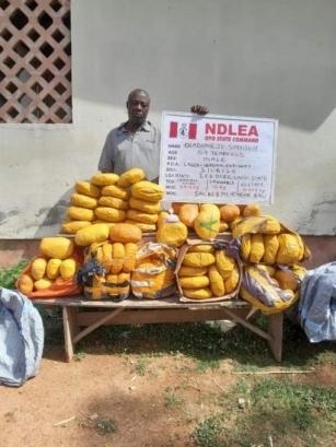 NDLEA Arrests 57-year Old Man In Ibadan With Cannabis 