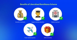 Demystifying The Liberalised Remittance Scheme: Everything You Need To Know