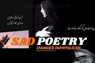 Sad Poetry In Urdu For Lovers 2024