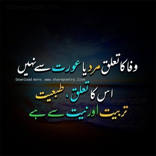 2 Line Urdu Quote - Wafa Ka Taluq - 2024 Saying