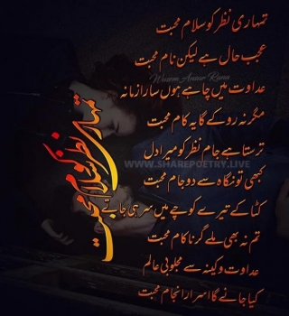 Tumhari Nazar Ko Salam Mohabbat | Love Ghazal | Waseem Ansar Rana