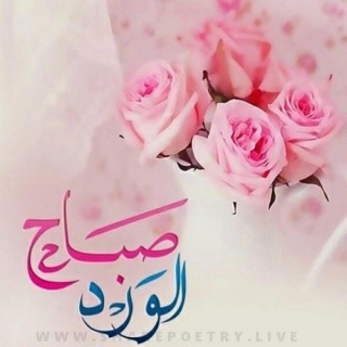 Good Morning Greetings In Urdu Arabic Images (2024)