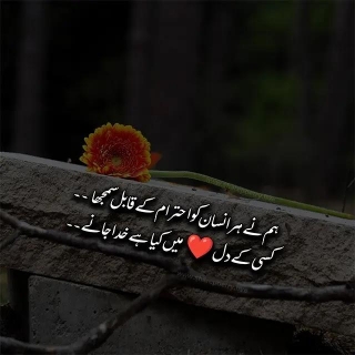 Self-Respect Poetry In Urdu 2024