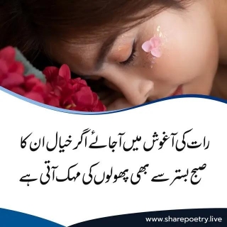 Get The Best Good Night Poetry In Urdu 2 Lines Images