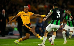 Wolves set up FA Cup quarter-final clash against Coventry after holding off Brighton