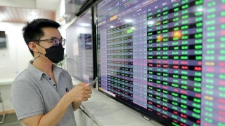 VN-Index Drops Nearly 13 Points As Market Tests Support