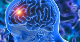 Prolonged Use Of Certain Hormone Drugs Linked To Increased Brain Tumour Risk