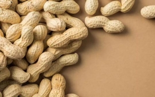 Feeding infants peanut products protects against allergy into adolescence: Study