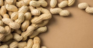 Feeding Infants Peanut Products Protects Against Allergy Into Adolescence: Study