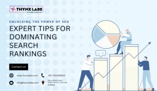 Expert Tips For Dominating Search Rankings