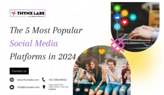 The 5 Most Popular Social Media Platforms In 2024