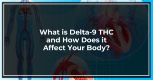 How Long Does Delta-9 THC Stay In Your System?