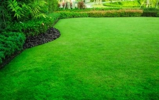 A Green Oasis: Crafting The Perfect Fertilizer Schedule For Your Ohio Lawn