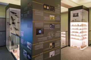 Enhancing Museum Experiences With Interactive Museum Display Solutions