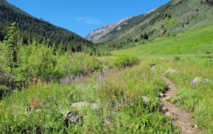 Family Rescued from Conundrum Trail Near Aspen After Hiker Suffers Knee Injury