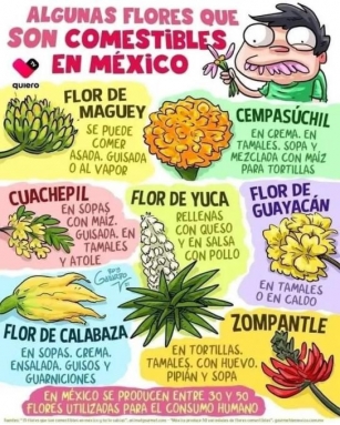 Edible Flowers: A Taste Of Mexico’s Floral Cuisine