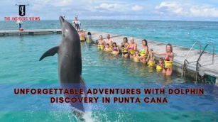 Unforgettable Adventures With Dolphin Discovery In Punta Cana