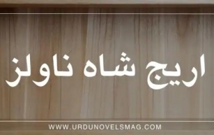 Novels by Areej Shah