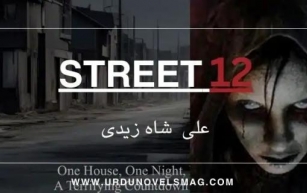 Street 12 Novel by Muhammad Ali Shah Zaidi