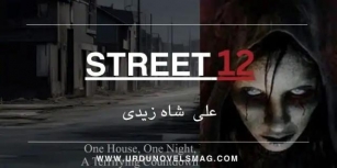 Street 12 Novel By Muhammad Ali Shah Zaidi