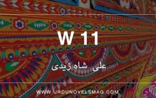 W11 🚎 By Muhammad Ali Shah Zaidi