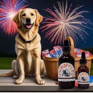 Keeping Your Pets Safe And Happy This Fourth Of July