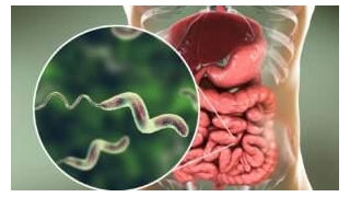 Acute Gastroenteritis Symptoms Explained