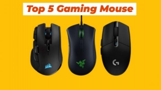 Top 5 Gaming Mouse In 2024