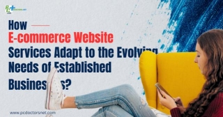 How E-commerce Website Services Adapt To The Evolving Needs Of Established Businesses?