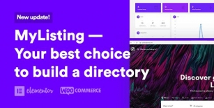Top 20 WordPress Directory Themes Free And Paid [2024]