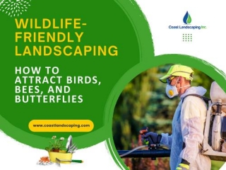 Wildlife-Friendly Landscaping: How To Attract Birds, Bees, And Butterflies