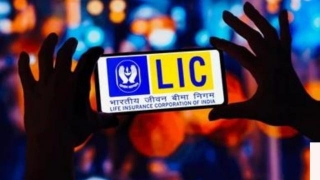 Information About Lic Policy: Study Of Lic New Surrender Update 2024