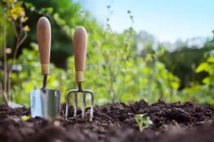 Gardening For Beginners: A Starter Guide