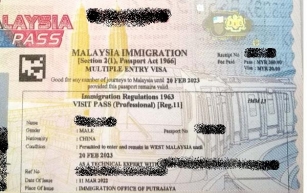 The Complete Guide on Malaysia Professional Visit Pass