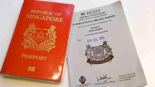 How To Get An International Driving License In Singapore