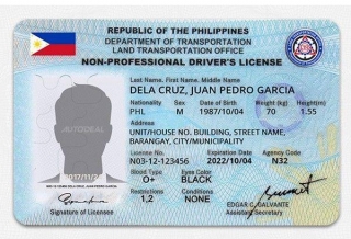 Philippine Non-Pro License: A Complete Guide