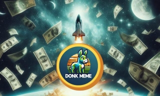 Solana Meme Project Donk.Meme Raises 1000 SOL In 10 Days