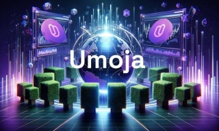 Umoja Beta Is Live: Bringing Simplified Access To Crypto Hedging
